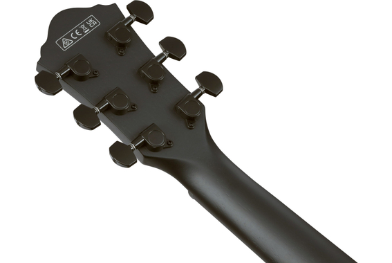 Ibanez AEG621-BOT Guitare Folk Black Out image 10