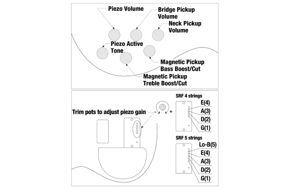 Ibanez SRF705-BBF Brown Burst Flat image 10