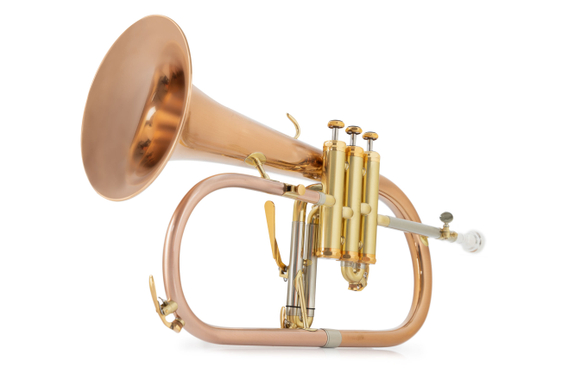 Lechgold FH-60GB Flügelhorn gebürstet Deluxe Set image 10