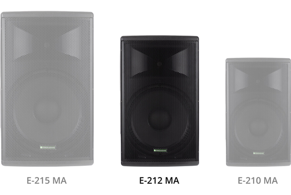 Pronomic E-212 MA 12" Aktivbox 250 Watt  - Retoure (Zustand: gut) image 10