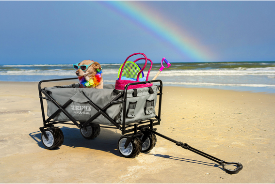 Stagecaptain Bollycart-907 GY Bollerwagen ohne Dach Grau  - Retoure (Zustand: gut) image 10