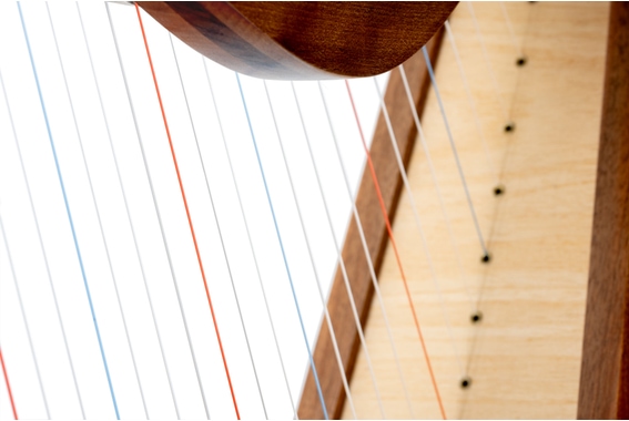 Classic Cantabile H-29 WN Keltische harp 29 snaren image 10