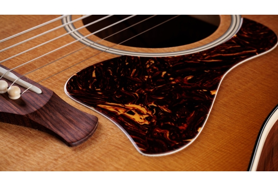 Taylor Trey Hensley Gold Label 510e Special Edition image 10