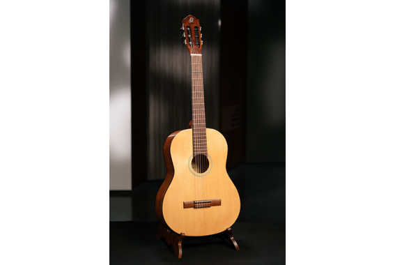 Ortega RST5 image 10