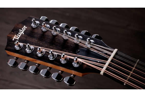 Taylor 254ce Plus image 10