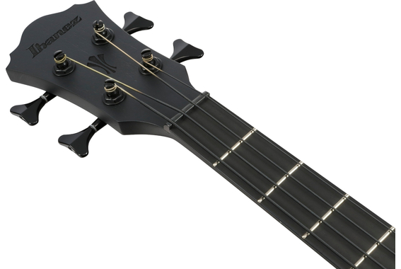 Ibanez AEGB420-BOT Basse Acoustique Black Out image 10