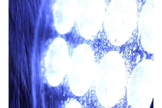 Projecteur Eurolite LED IP PAR 7x8W QCL image 10