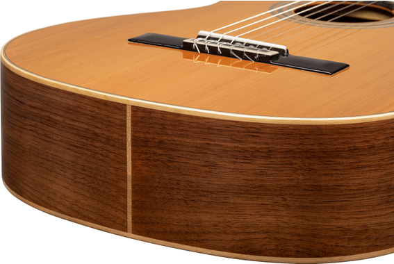 Ortega R20GWN Traditional Series Chitarra Classica 4/4 image 10