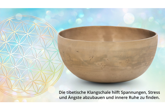 XDrum Therapeutic Klangschale Ton C / 1400 g Kissen Set image 10