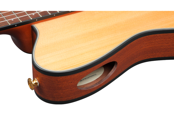 Ibanez FRH10N-NTF Gitaar Natural Flat image 10