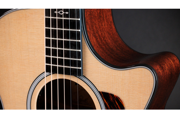 Taylor Next Generation 312ce (2026) image 10