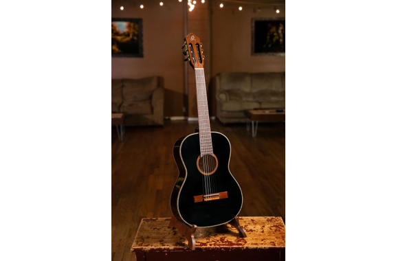 Ortega R221BK-7/8 image 10