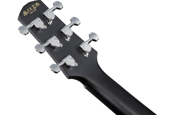 Ibanez EWP16EWB-GAO Westerngitaar Traveller Galaxy Aqua Open Pore image 10