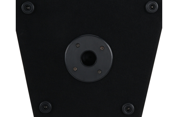 Pronomic PM42-110 StagePower Set Sistema Activo image 10