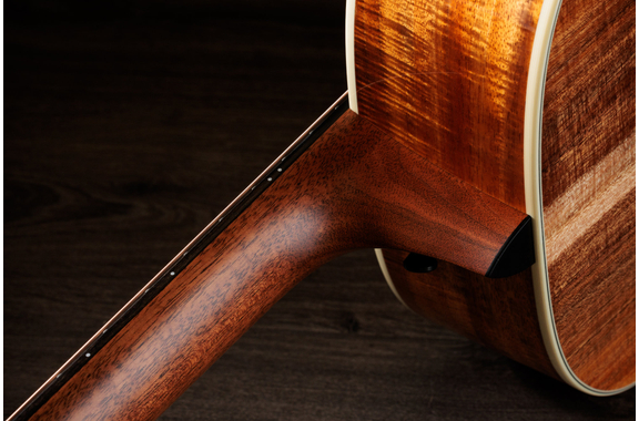 Taylor Gold Label 814e Koa  image 10