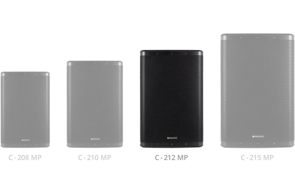Pronomic C-212 MP 12" Passivbox Stereo Set image 10