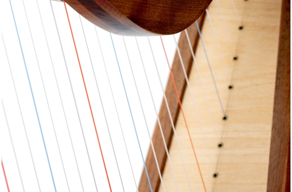 Classic Cantabile H-29 WN harpe celtique 29 cordes image 10