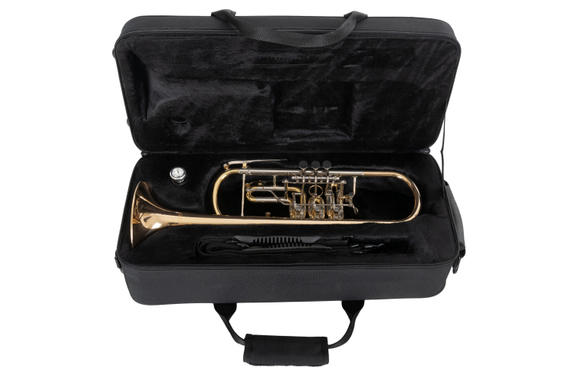 Classic Cantabile TR-43G Bb Concert Trumpet Gold Brass image 10