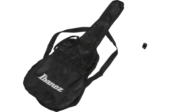 Ibanez V30NJP-OPN 3/4 Acoustic Jam Pack image 10