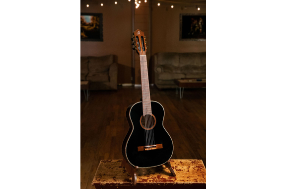 Ortega R221BK-3/4 image 10