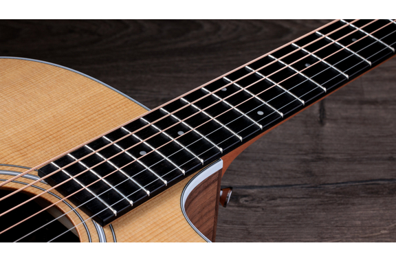 Taylor 210ce image 10