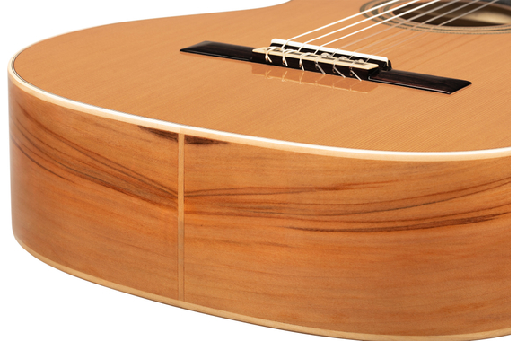 Ortega R20GRG Traditional Series 4/4 Guitare Classique image 10