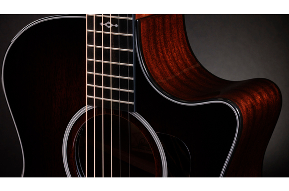 Taylor 324ce Next Generation image 10