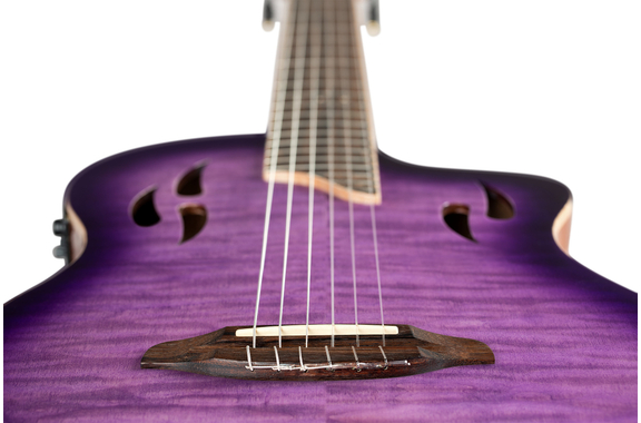 Ortega TourPlayer Special Edition image 10