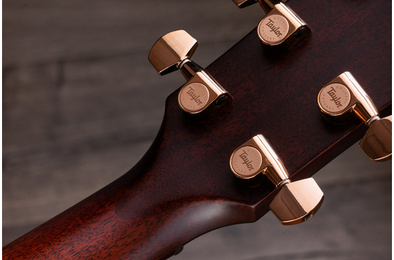 Taylor Special Edition K24ce image 10
