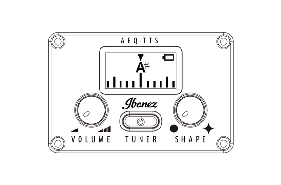 Ibanez AEG5012-BKH image 10