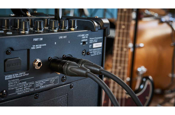 Boss Dual Cube Bass LX image 10