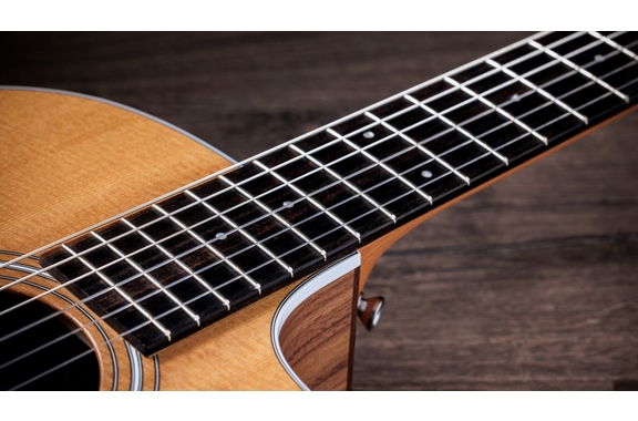 Taylor 214ce-N image 10