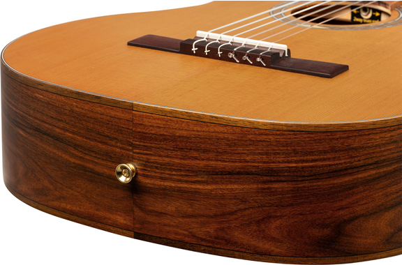 Ortega R24RO Thermo Series 4/4 Guitare Classique image 10