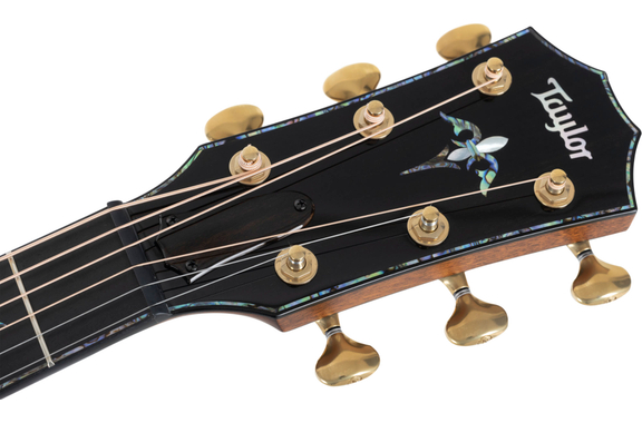 Taylor PS14ce Guitarra Western image 10