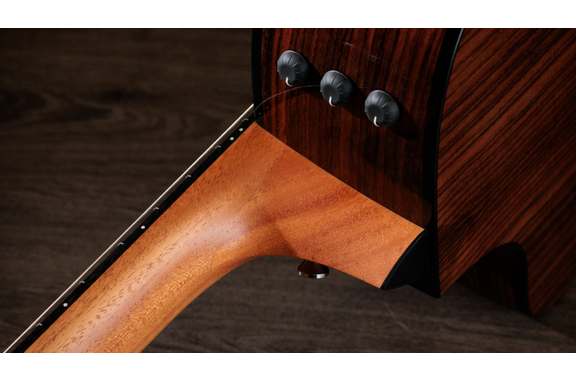 Taylor 212ce-N Plus Natural image 10
