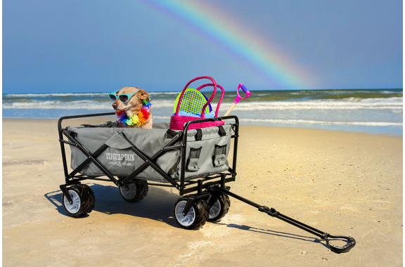 Stagecaptain Bollycart-907 GY Bollerwagen ohne Dach Grau image 10