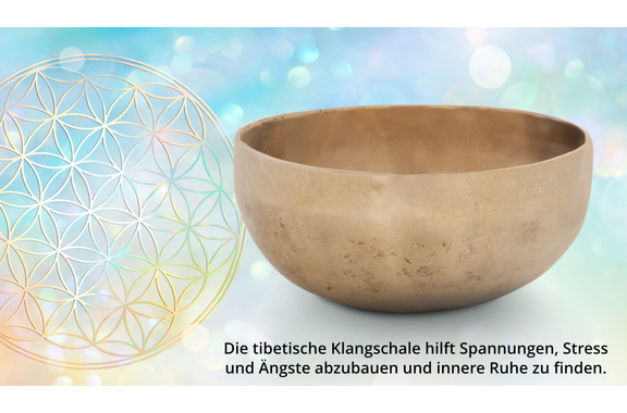 Set Campana Tibetana Terapeutica XDrum Nota G / 700 g Con Cuscino image 10
