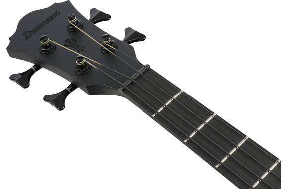 Ibanez AEGB420-BOT Acoustic Bass Black Out image 10