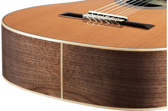 Ortega R20GSNWN Traditional Series 4/4 Guitare Classique image 10