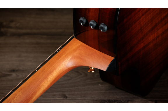 Taylor 224ce-K DLX Shaded Edgeburst image 10