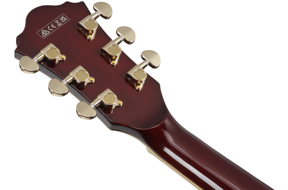 Ibanez AG95K-NT Natural image 10