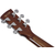 Ibanez PF16WCE-NT Natural thumbnail 11