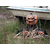 Europalms Halloween bewegte Kürbis-Monster Figur thumbnail 11