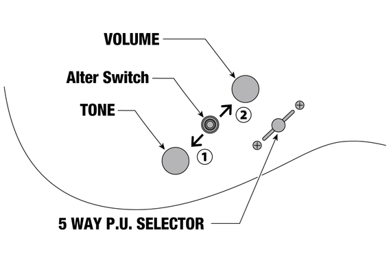 Ibanez RGRTB621-BKF Iron Label image 11