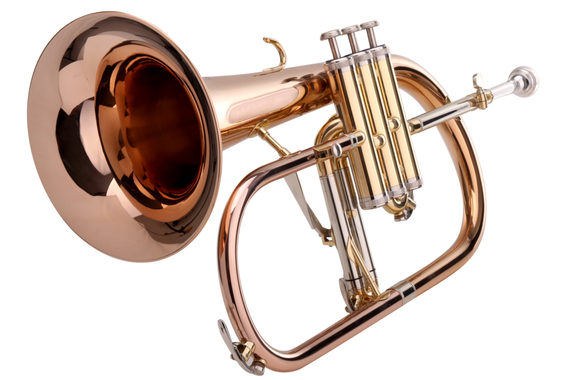 Lechgold FH-60G Flugelhorn Lacquered Deluxe Set image 11