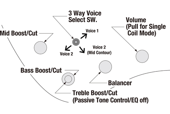 Ibanez EHB1675MS-NTF Basse Électrique Naturel Mat image 11