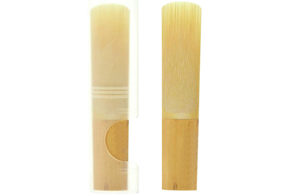 Lechgold LBS-25S Saxophone Baryton Plaqué Argent image 11