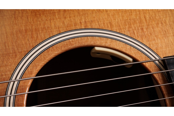 Taylor Trey Hensley Gold Label 510e Special Edition image 11