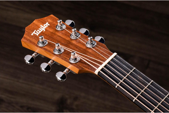 Taylor BT1e Baby image 11