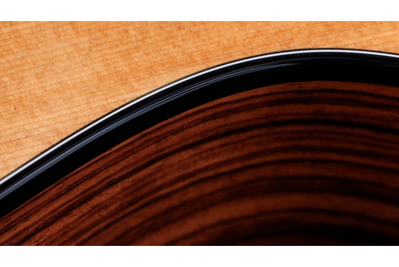 Taylor 254ce Plus image 11